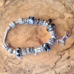 Pandora Sterling silver bracelet with charms. Fits regular size wrist.